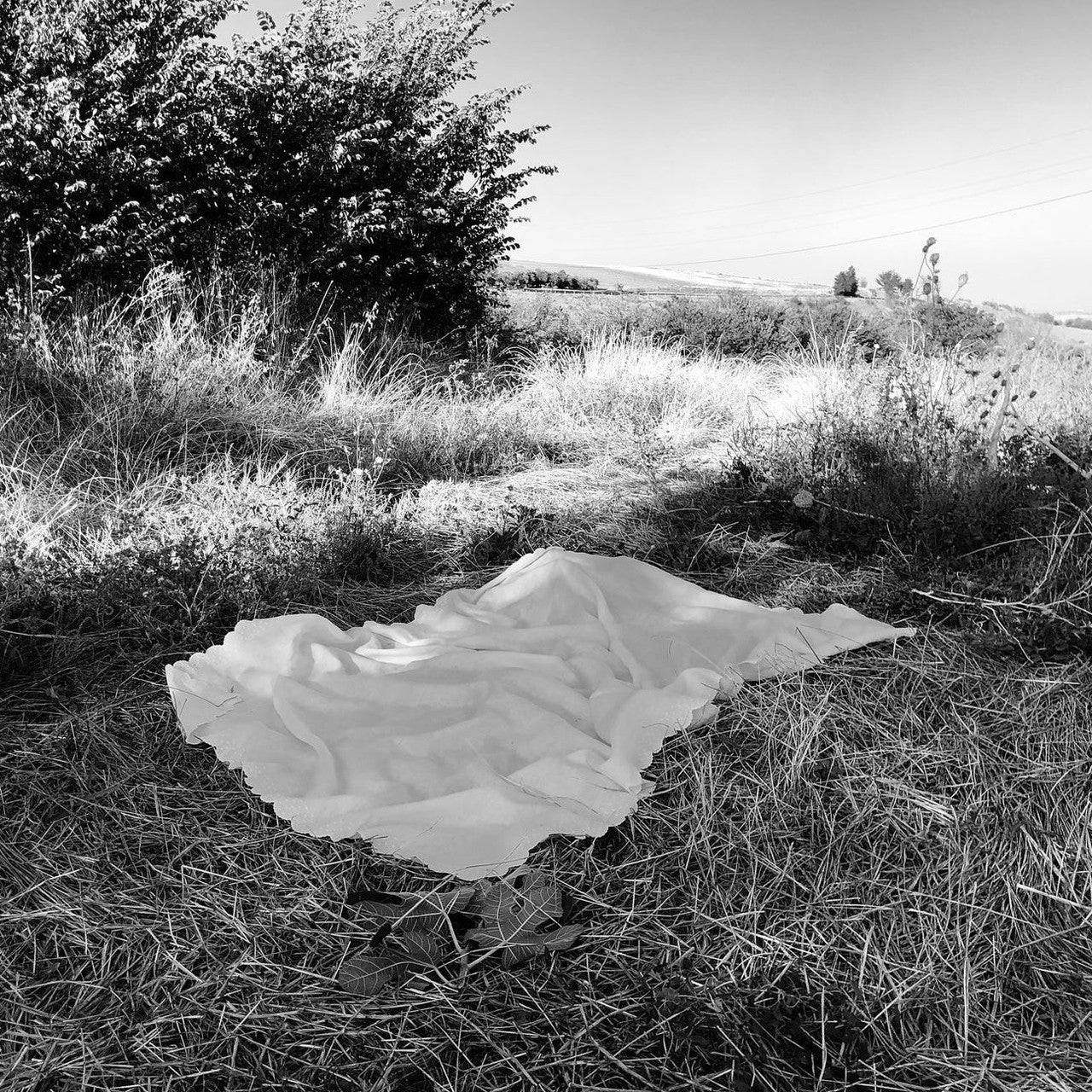 Sabri Sabri Sofia Tablecloth