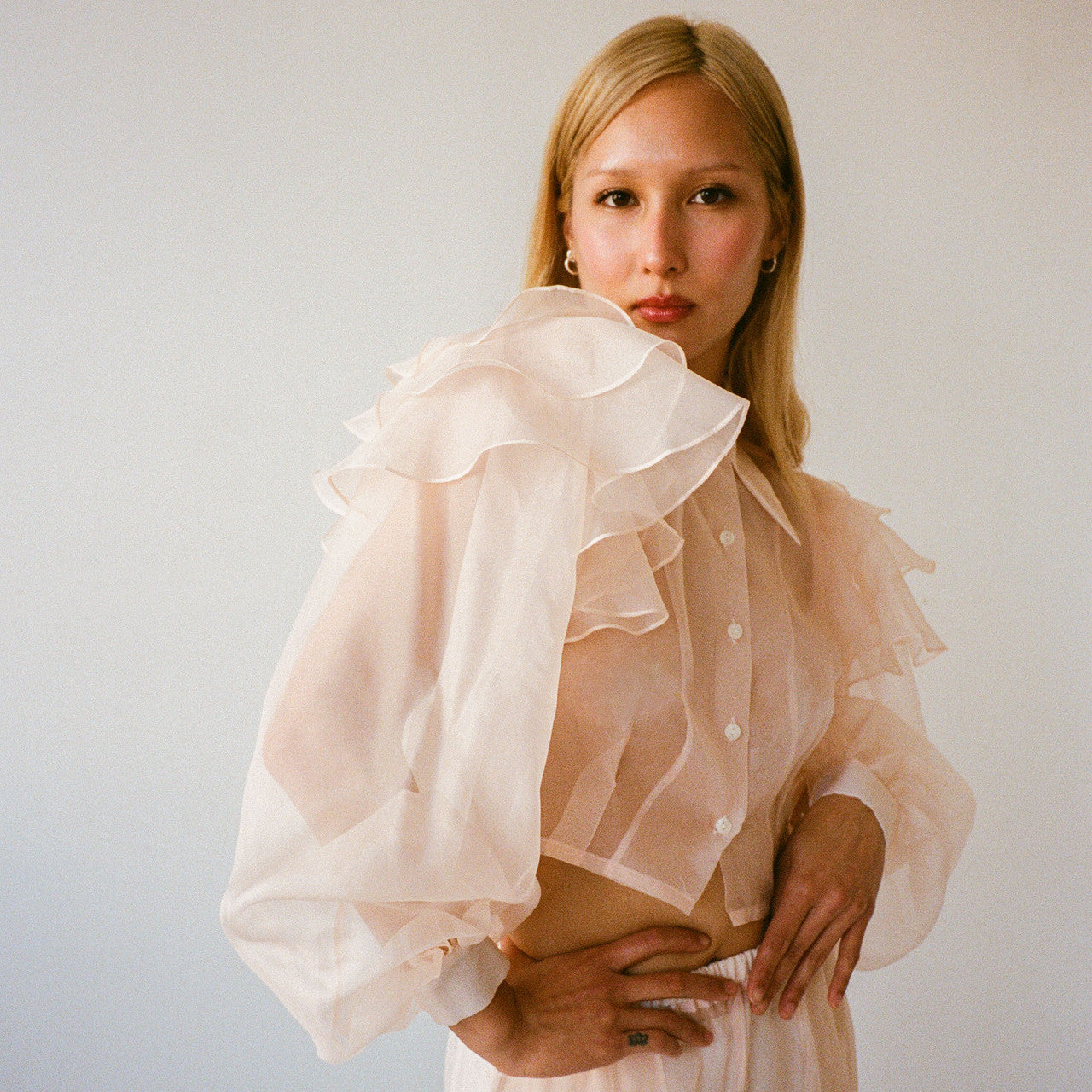 Giovanni Organza Blouse (20% off)