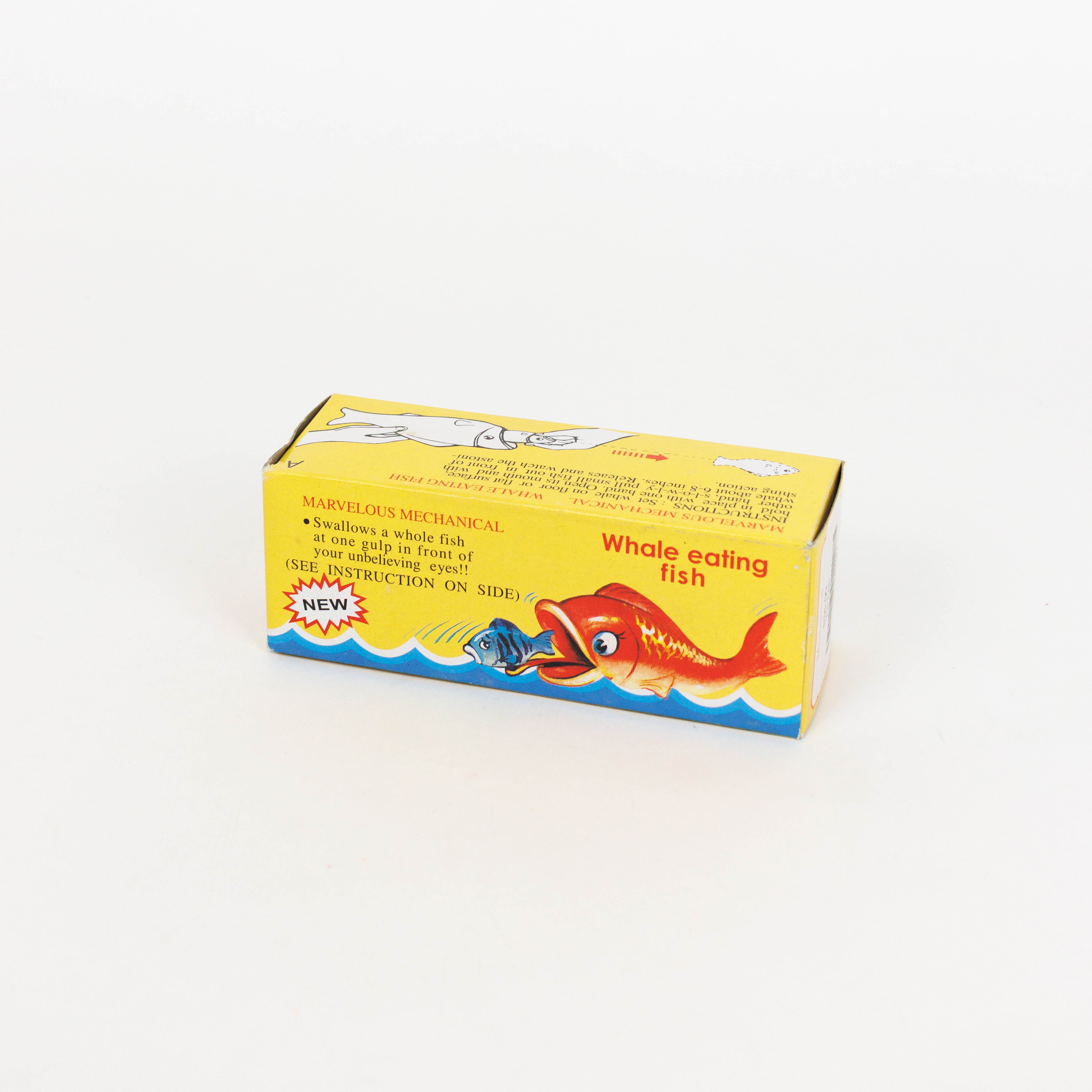 blue and yellow fish in a box Tin Fish – Salter House